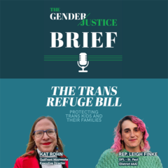 The Trans Refuge Bill