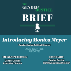 Introducing Monica Meyer, Political Director at Gender Justice