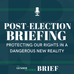 Post-Election Briefing: Protecting Our Rights in a Dangerous New Reality