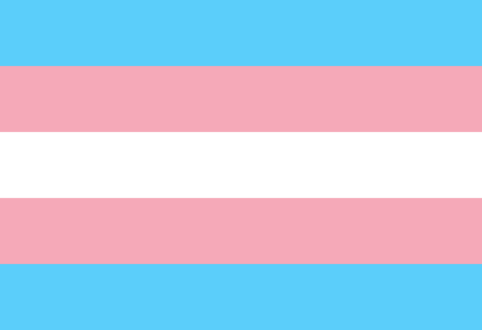 trans pride flag